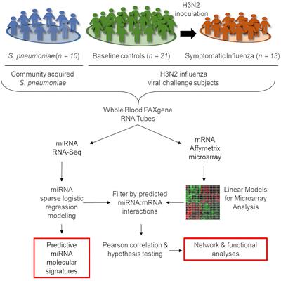 A miRNA Host Response Signature Accurately Discriminates Acute Respiratory Infection Etiologies